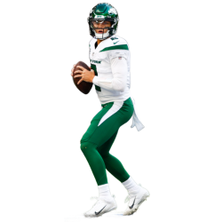 Player render