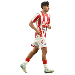 Player render