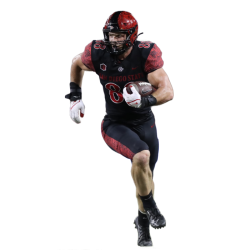 player render