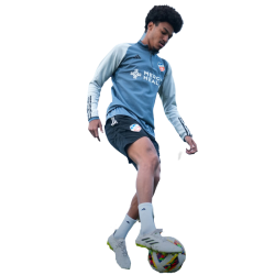 player render