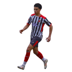 player render