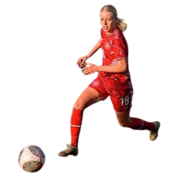 Player render