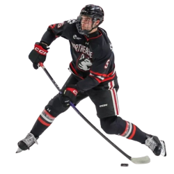 Player render