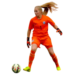 player render