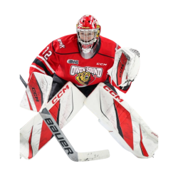 Player render