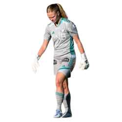 Player render