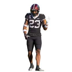 player render