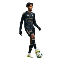 player render