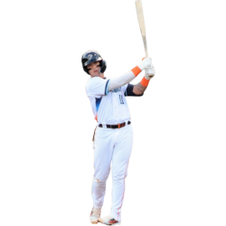 Player render