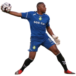 player render