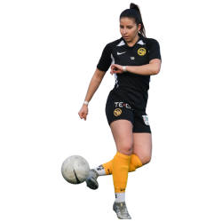 player render