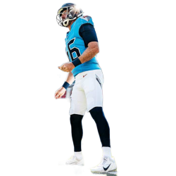 Player render