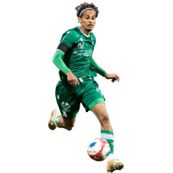 player render
