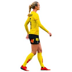 Player render