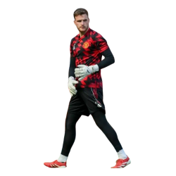 player render