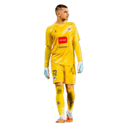 Player render