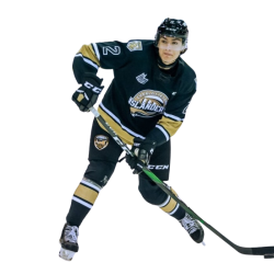 Player render
