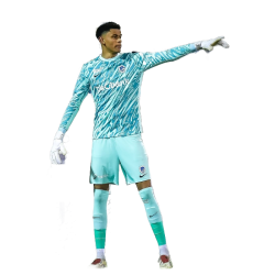 player render