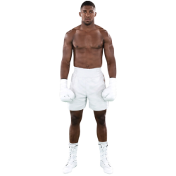Player render