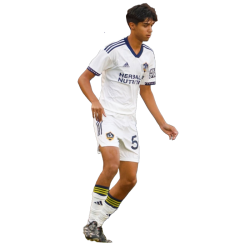 player render