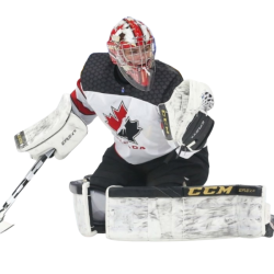 Player render