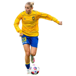 Player render