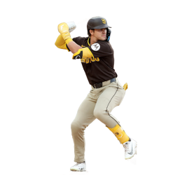 player render