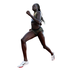 player render