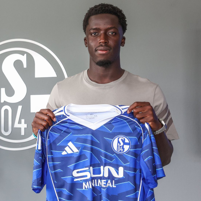 Christian Louis Gomis