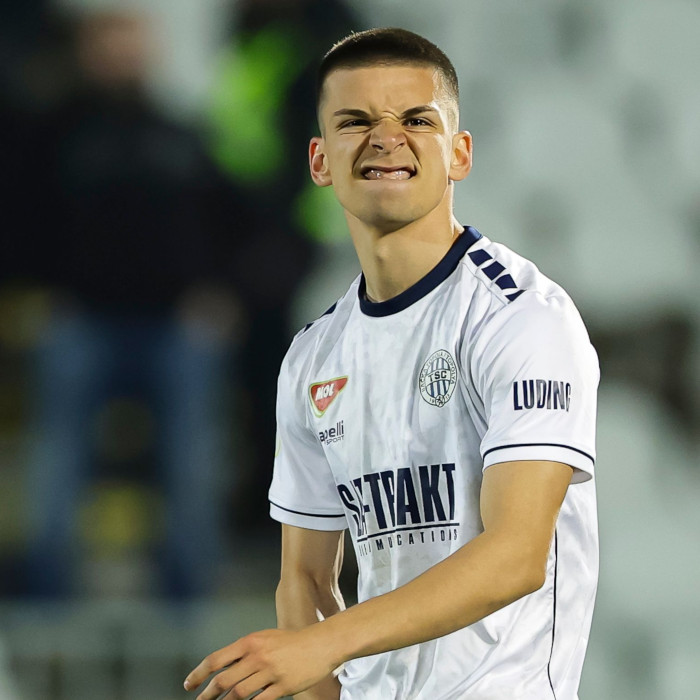 Viktor Radojevic