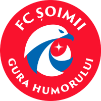 Team Badge