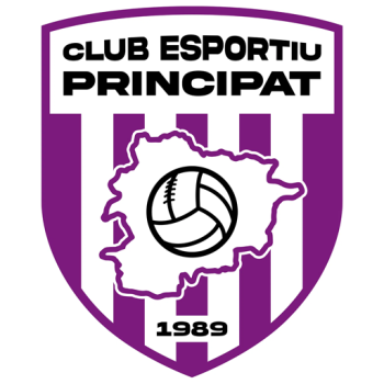 team badge