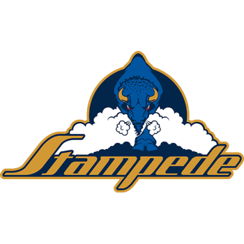 home team badge