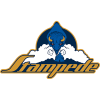 tiny home badge icon
