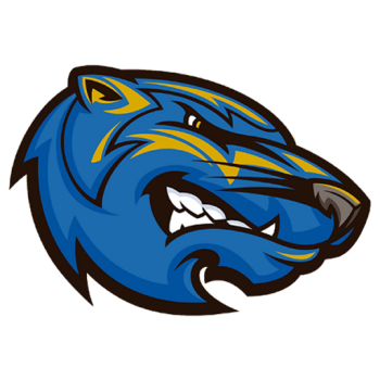 team badge