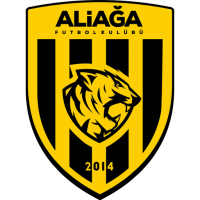 Team Badge