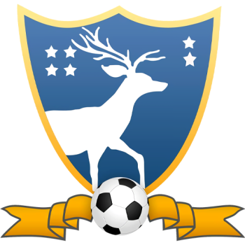 Team Badge