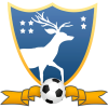 tiny home badge icon