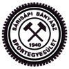 Sárisápi Bányász badge
