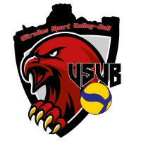 Former team badge icon