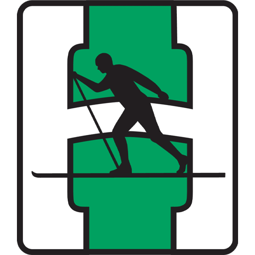 Team Badge icon