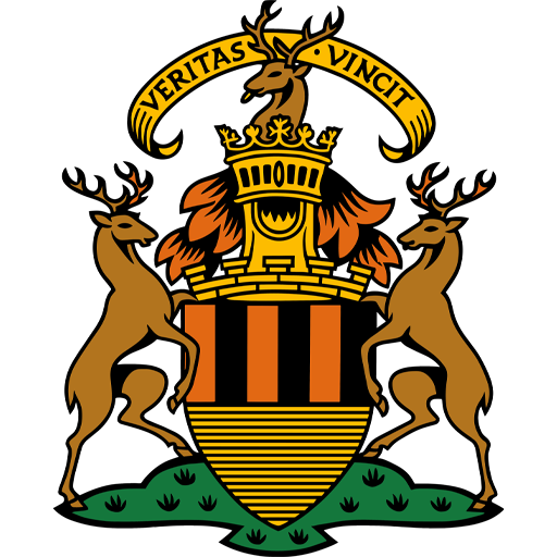 Team Badge icon