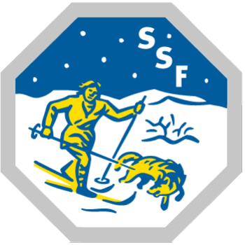 Team Badge