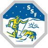 Team Badge icon
