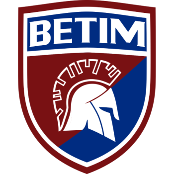Team Badge
