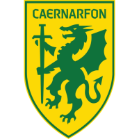 Team Badge icon