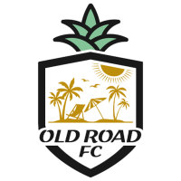 Team Badge icon