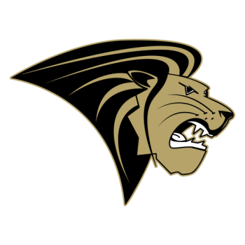 away team icon