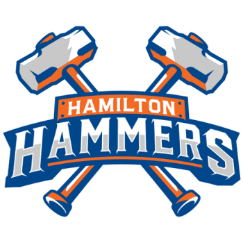 team badge