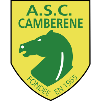 home team badge
